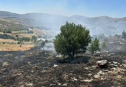 Elazığ'da otluk alanda çıkan yangın söndürüldü