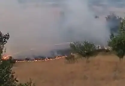 Elazığ'da otluk alanda yangın