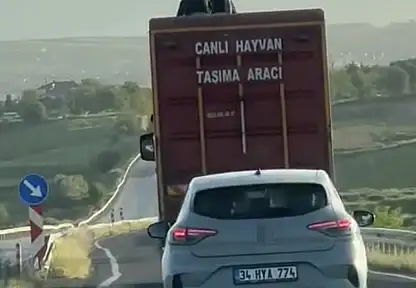 Kamyonun üzerinde tehlikeli yolculuk kamerada