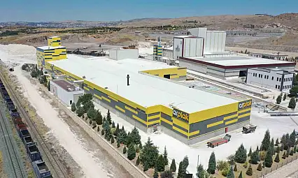 Arplak 1'inci yaşında güçlü bir başarıya ulaştı