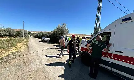Elazığ'da araç direğe çarptı: 1 yaralı