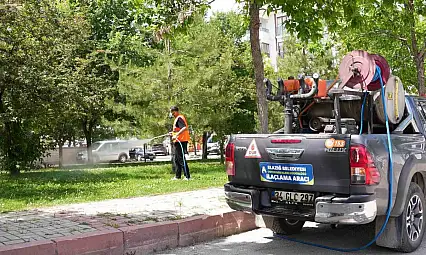 Elazığ'da ilaçlama çalışmaları sürüyor