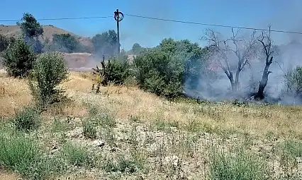 Onlarca dönümlük alan kül oldu