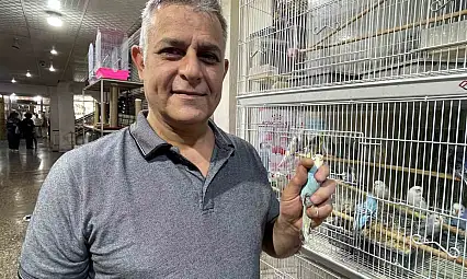 Elazığ'da muhabbet kuşlarına yoğun ilgi