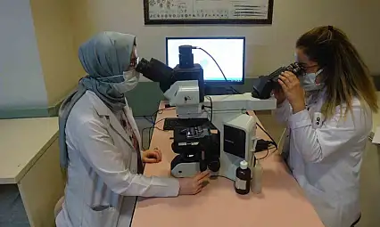 Prof. Dr. Tartar'dan 'Dünya Hepatit Günü' açıklaması