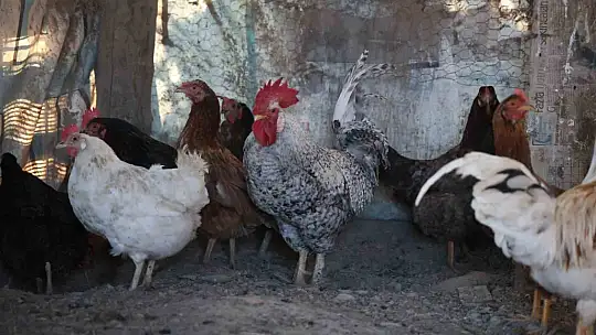 Kesilmekten 'Anne' diye bağırarak kurtuldu