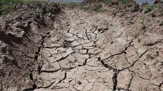 12 yıl önceki kuraklık tekrar baş gösterdi, kuruyan baraj havzasında tarıma başlandı