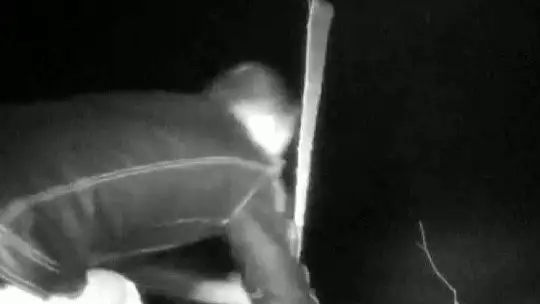 17 Bin TL Harcadı, Ağaçlarını Keseni Fotokapanla Yakaladı