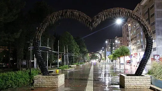 17 günlük kısıtlama başladı, Elazığ sessizliğe büründü