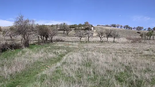 18 yaşında cinayete kurban gitti, geriye '22 yıl daha yaşar mıyım' dediği video kaldı
