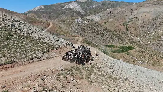 2 bin 500 rakımda ekmek mücadelesi