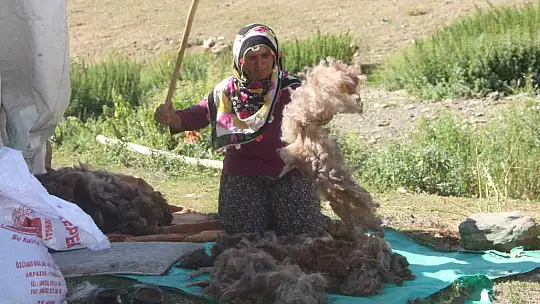 2 bin 500 rakımda ekmek mücadelesi