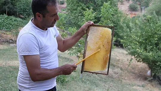 2 çocuk annesi 'Ben yaparım dedi' ve yaptı, devletten aldığı destek ile arıcı oldu