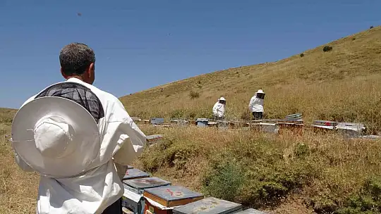 2000 rakımda tescilli geven balının hasadı başladı