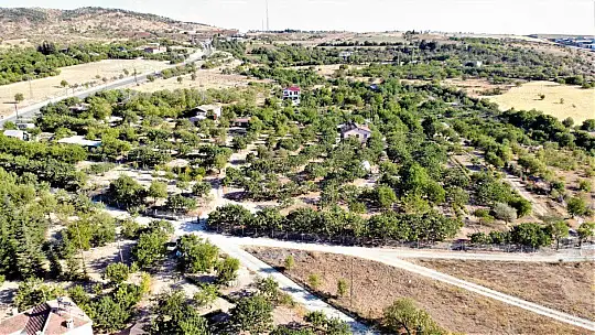 26 yıl önce hobi olarak diktiği fıstık ağaçları gelir kaynağı oldu