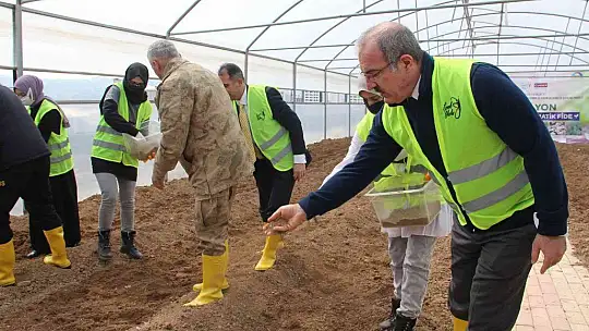 3 milyon aromatik fide tohumu toprakla buluştu