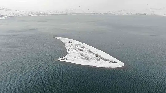 35 dönümlük ada, tavşan ve martılara emanet