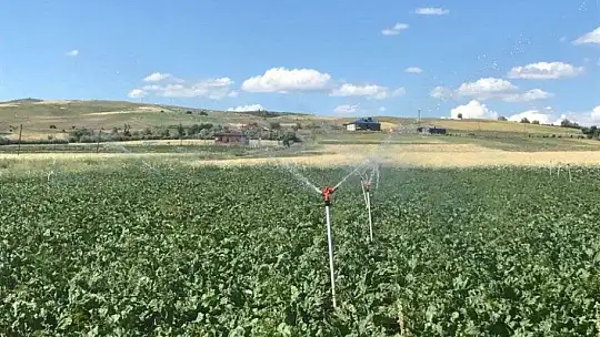 4 ilde 532 bin 512 dekar tarım arazisi sulandı