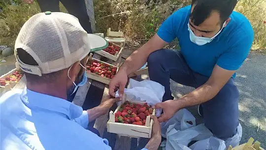 48 yıldır meşhur 'Kuyulu' çileğini yol kenarında satıyor