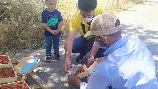 48 yıldır meşhur 'Kuyulu' çileğini yol kenarında satıyor