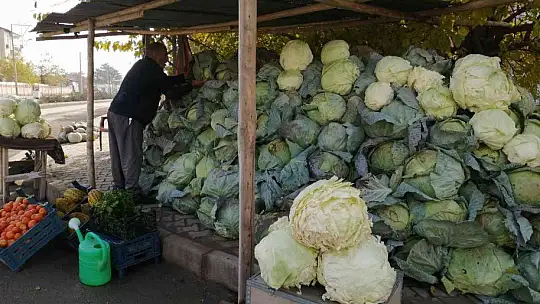50 kilogramlık lahana üretti, Ukrayna ve Belçika'dan alıcıları var