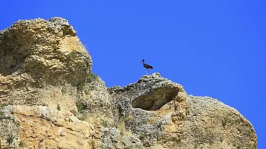9 milyon yıllık kanyonun sahipleri geldi