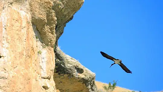 9 milyon yıllık kanyonun sahipleri geldi