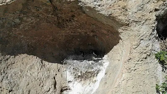 9 milyon yıllık kanyonun sahipleri geldi
