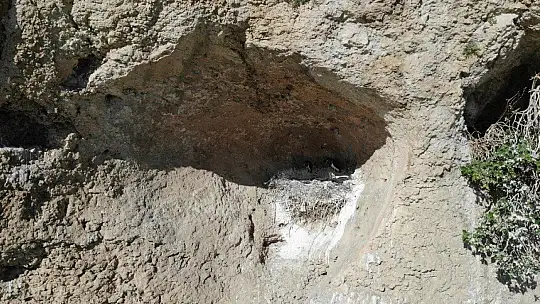 9 milyon yıllık kanyonun sahipleri geldi