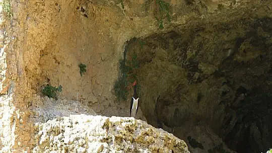 9 milyon yıllık kanyonun sahipleri geldi