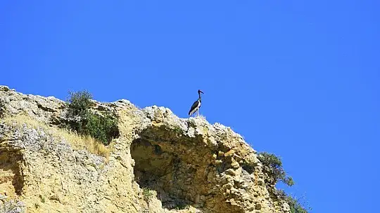 9 milyon yıllık kanyonun sahipleri geldi