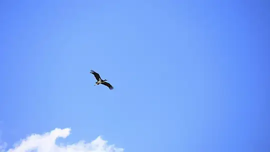 9 milyon yıllık kanyonun sahipleri geldi