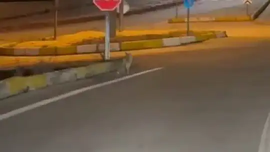 Aç kalan tilki şehir merkezine indi