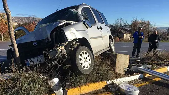 Ağaca ve aydınlatma direğine çarpan hafif ticari araç asılı kaldı: 1 yaralı