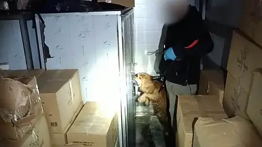 Alex kokladı, tırın dorsesinden 17 kilo 650 gram uyuşturucu çıktı