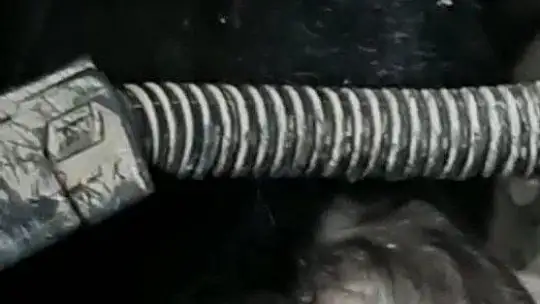 Aracın motoruna sıkışan yavru kedi, 2 saat süren çalışma ile çıkartıldı