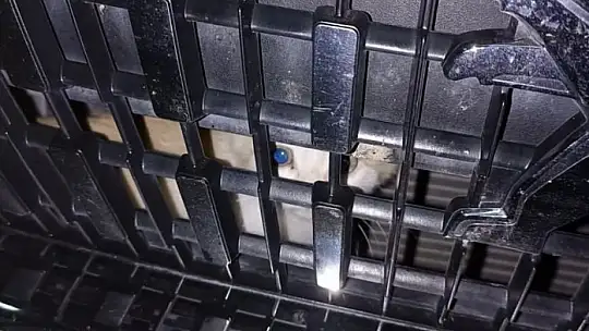 Aracının kaputuna sıkışan kediyi sahiplendi