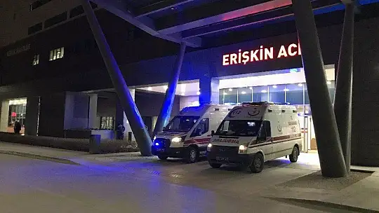 Arazi anlaşmazlığında ağabey kardeşini vurdu