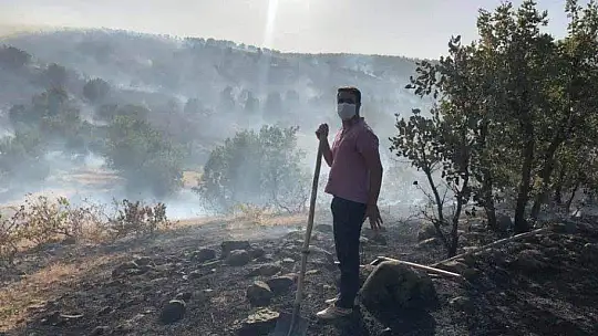 Arıcak'taki orman yangını söndürüldü