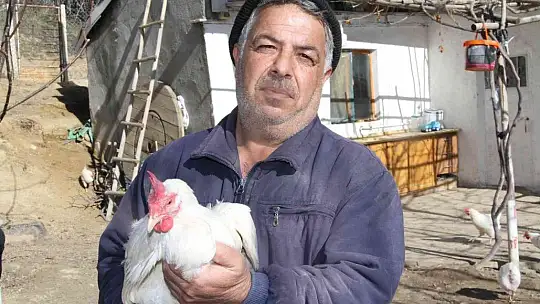 Artan yem fiyatlarına kızdı ve..