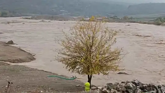 Aşırı yağış sonrası Dipni çayı coştu