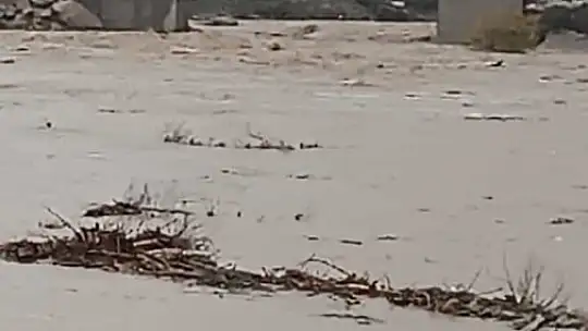 Aşırı yağış sonrası Dipni çayı coştu