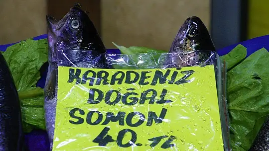 Av sezonu açıldı, yarımada konumundaki Elazığ'da balıklar tezgahlardaki yerini aldı