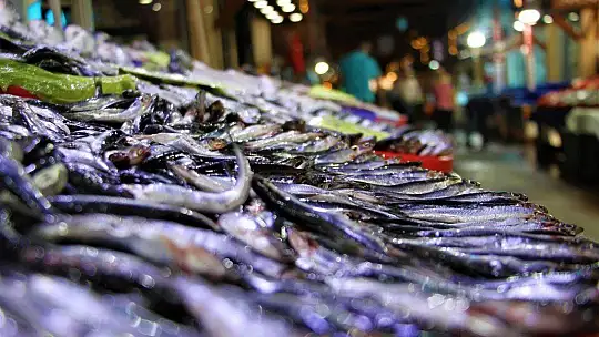 Av sezonu açıldı, yarımada konumundaki Elazığ'da balıklar tezgahlardaki yerini aldı