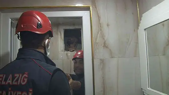 Bacadan binaya girdi..