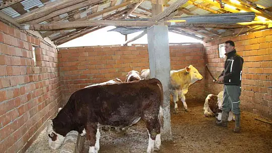 Bankacılığı bıraktı, devlet desteğiyle köyüne yerleşip hayvancılığa başladı