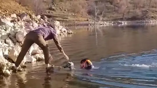 Güvercin, Muhtar Tarafından Kurtarıldı