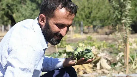Bölgede ilki başardı, tropik Afrika meyvesi olan Kivano'yu yetiştirdi, bir kökte 50 adet ürün elde etti