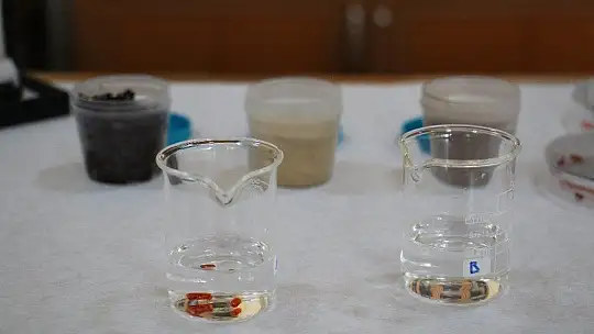Çay posası pH ölçüm kalemine dönüştü