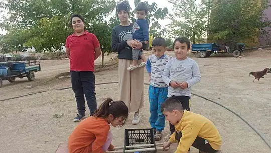 Cevizi top yapıp plastik meyve kasasında langırt oynadılar